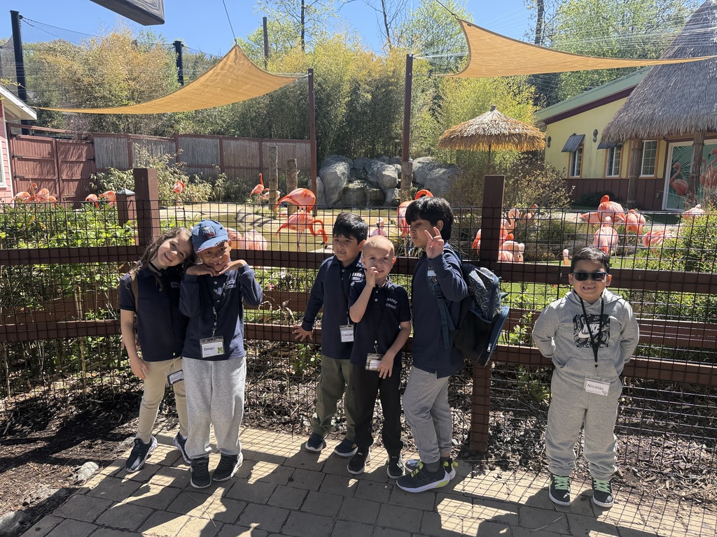 zoo