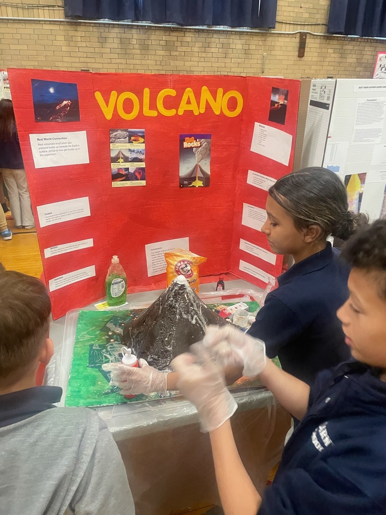 SCIENCE FAIR 