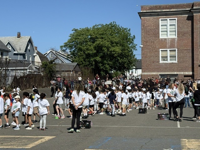 field day