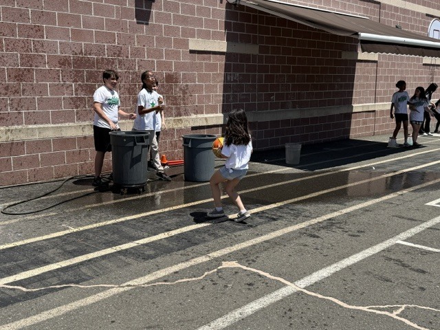 field day