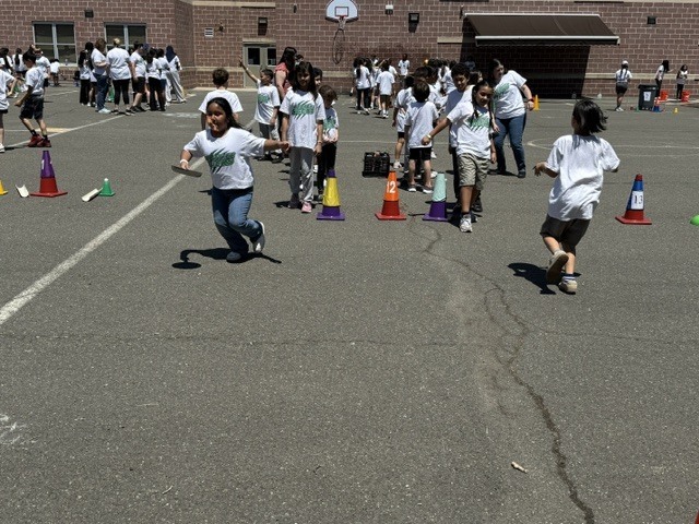 field day