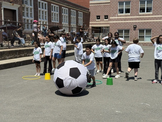 field day