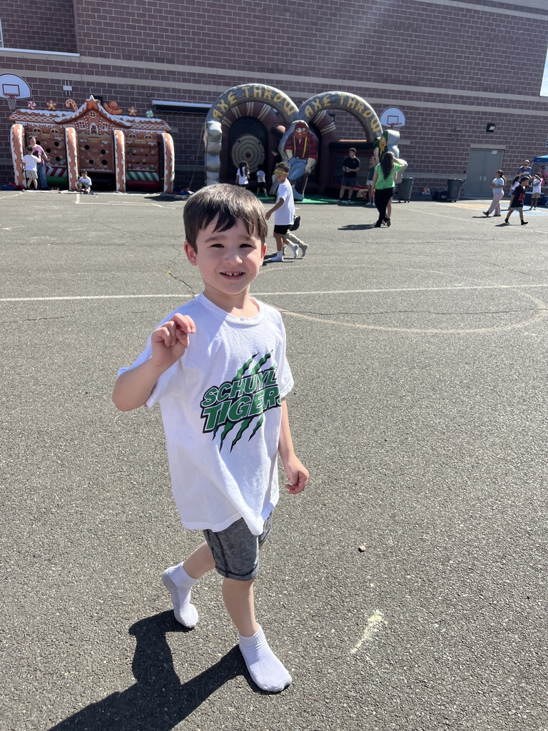 PTA carnival