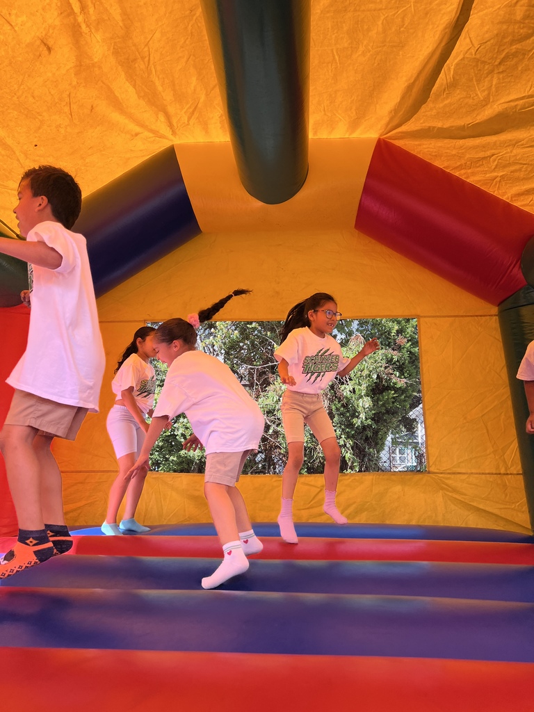 PTA carnival