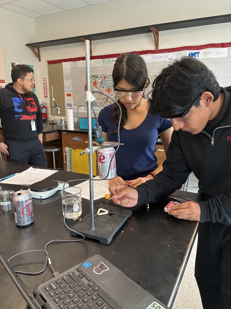 students working on lab