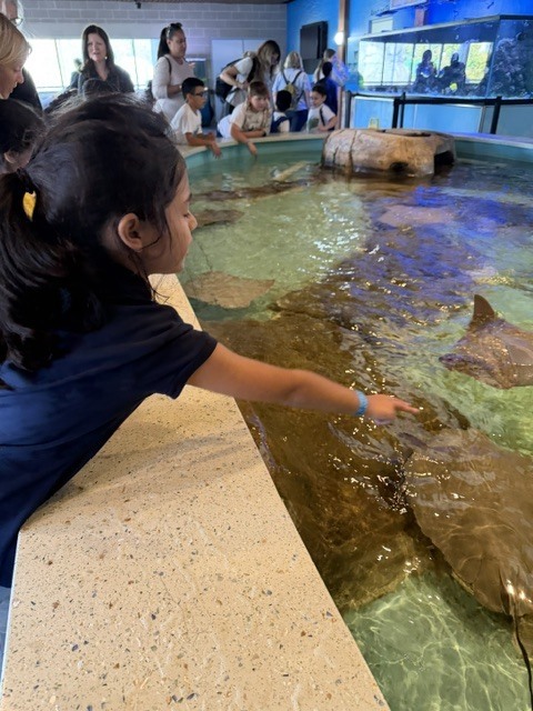 zoo