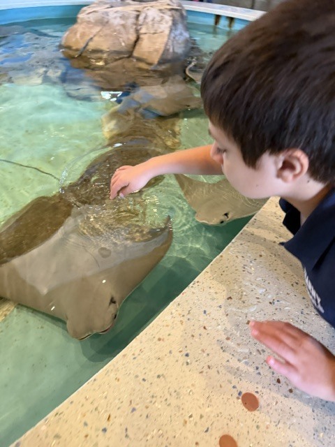 zoo