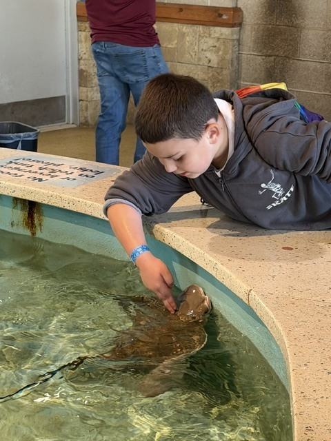 zoo