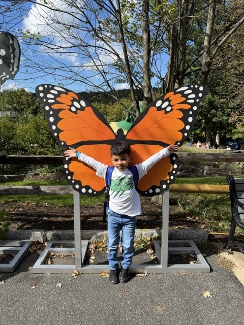 zoo