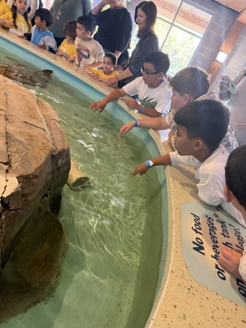 zoo
