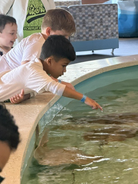 zoo
