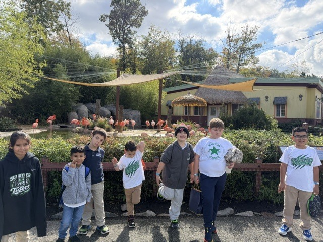 zoo