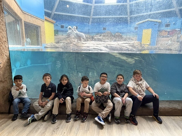 zoo