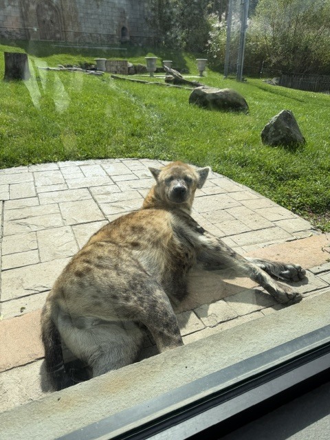 zoo