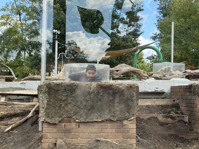 zoo