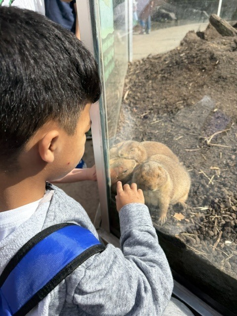zoo
