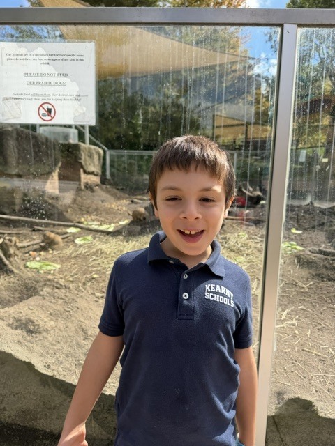 zoo