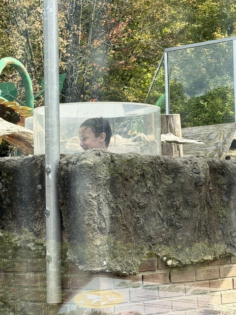 zoo