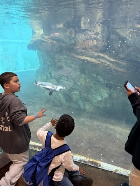 zoo