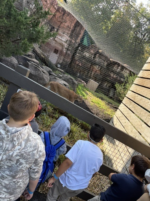 zoo