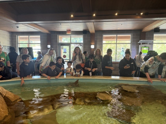 zoo