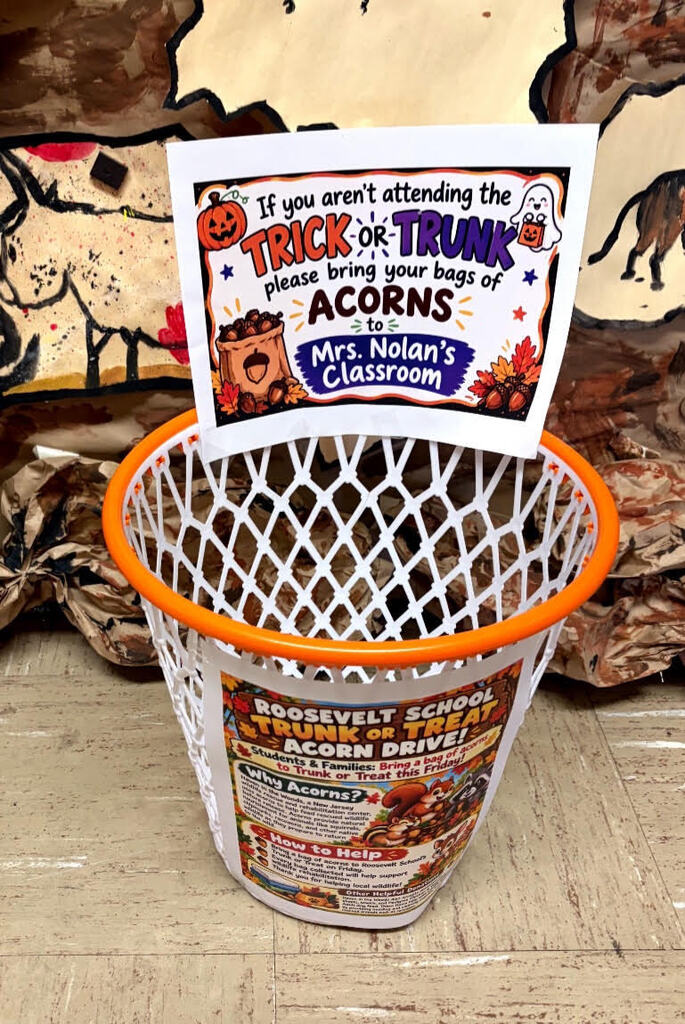 Acorn Challenge begins in Mrs. Nolans classroom
