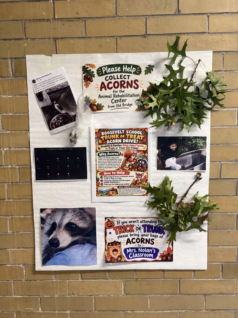 Roosevelt students make a big environmental impact by collecting acorns.