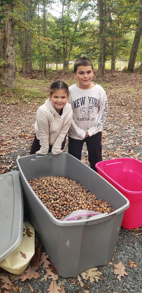 Roosevelt students make a big environmental impact by collecting acorns.