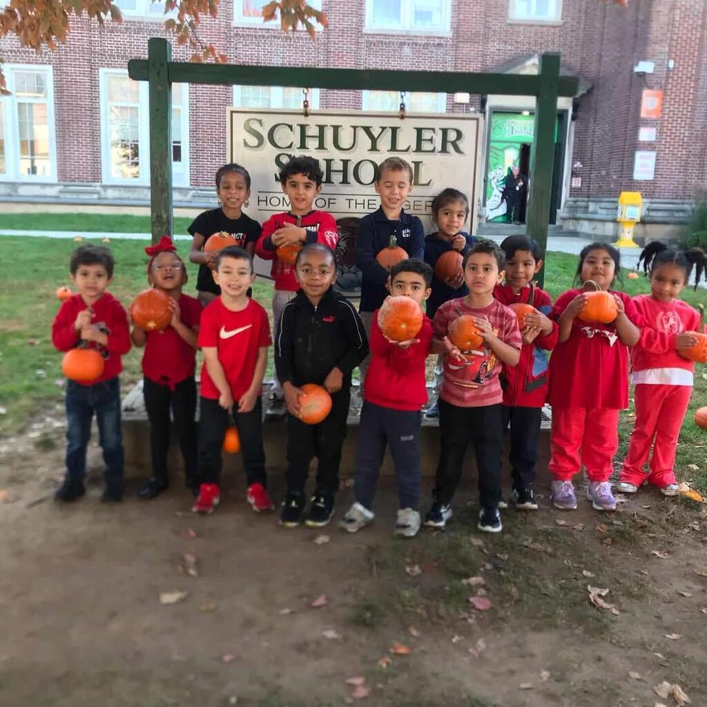 pumpkin patch