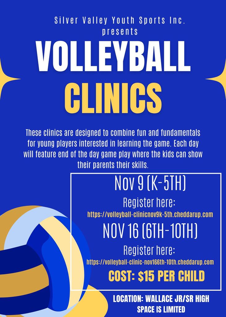Volleyball clinic information