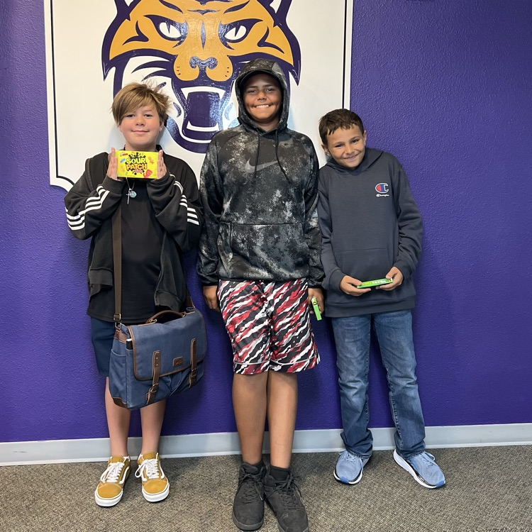 picture of the paws drawing winners