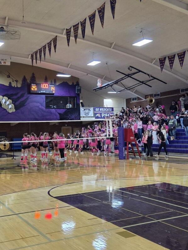 students at a volleyball game