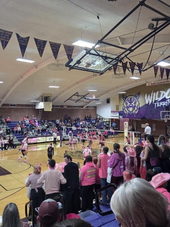students at a volleyball game