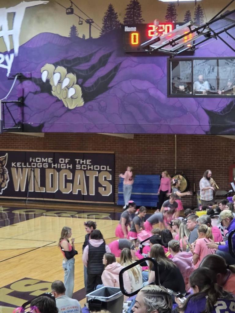 students at a volleyball game