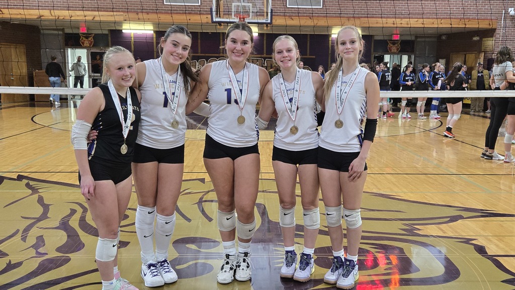 volleyball team