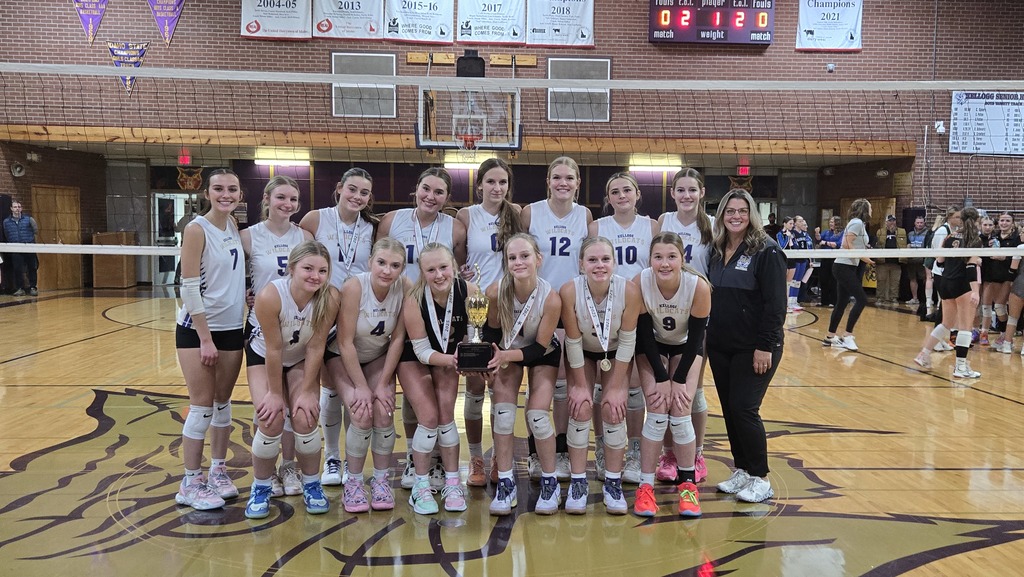 volleyball team