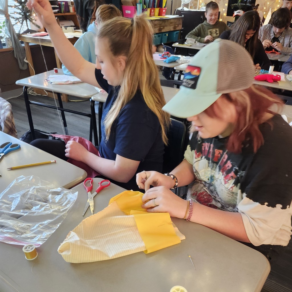 pictures of students holding their sewn designs.