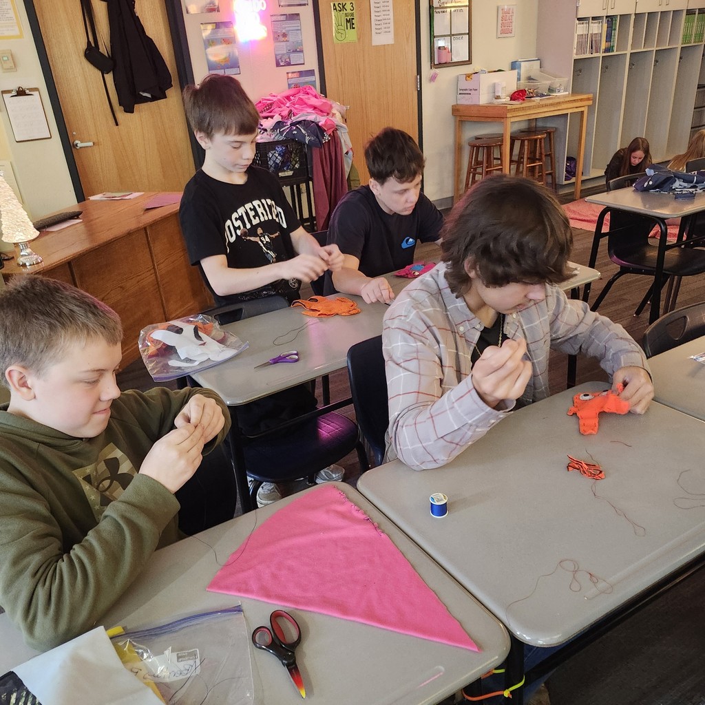 pictures of students holding their sewn designs.