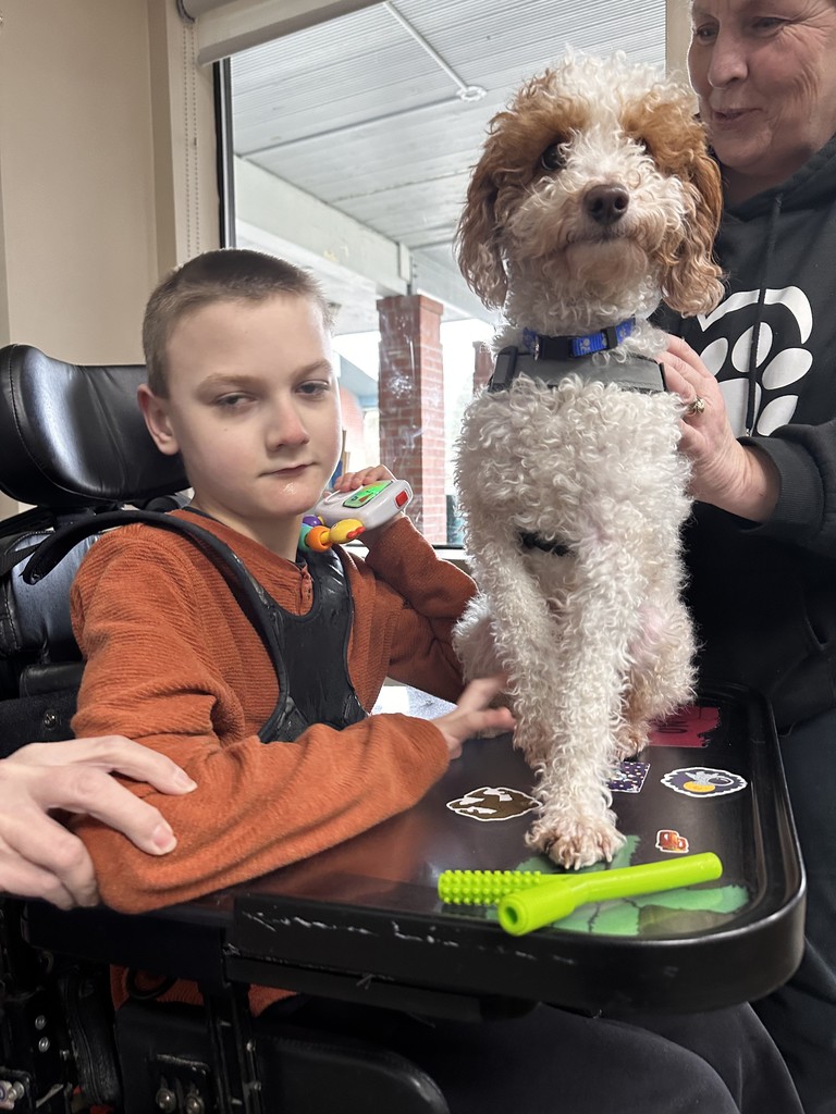This student's favorite classmate has four paws.
