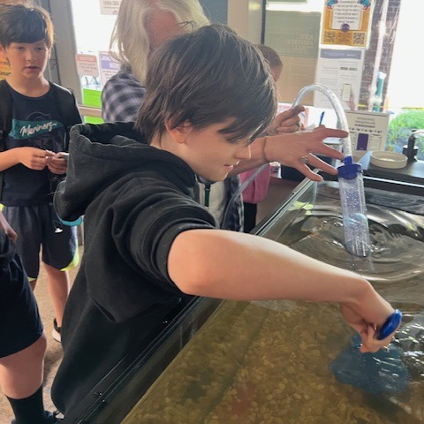 fish release 
