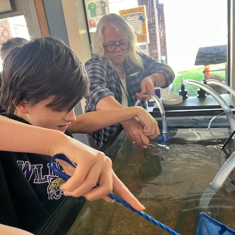 fish release 