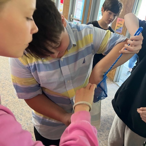 fish release 
