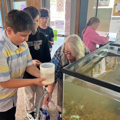 fish release 
