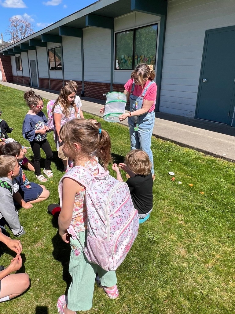 Mrs. Miller's 1st grade class releasing their butterflies. 