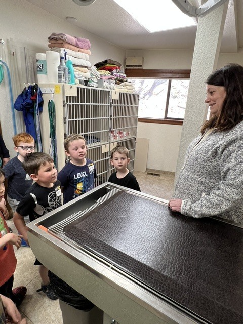 students at a vet clinic