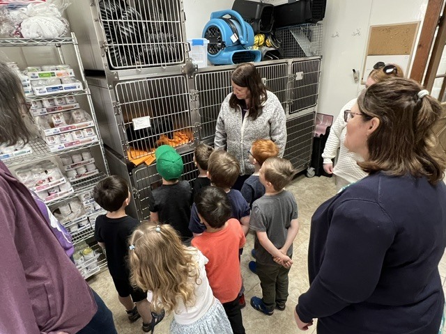 students at a vet clinic