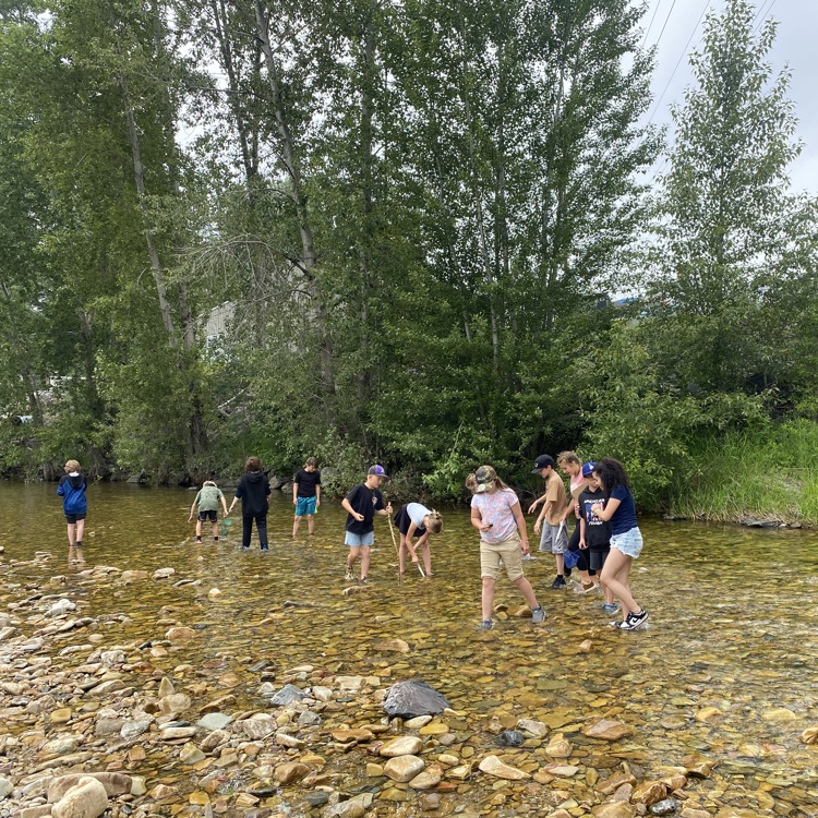 stream survey