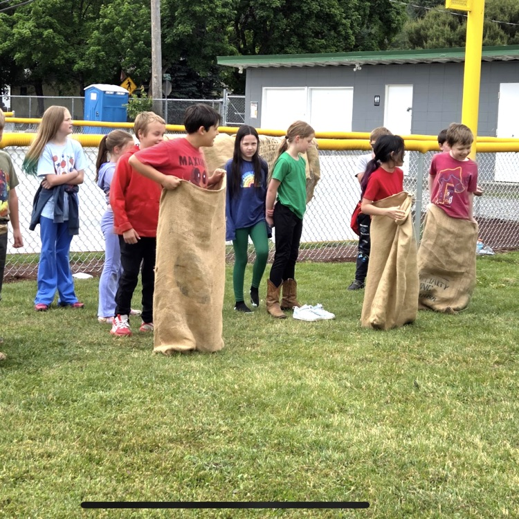 field day