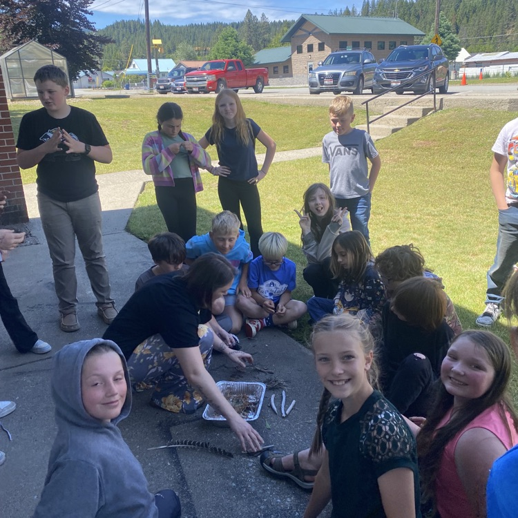 5th grade stem activity 
