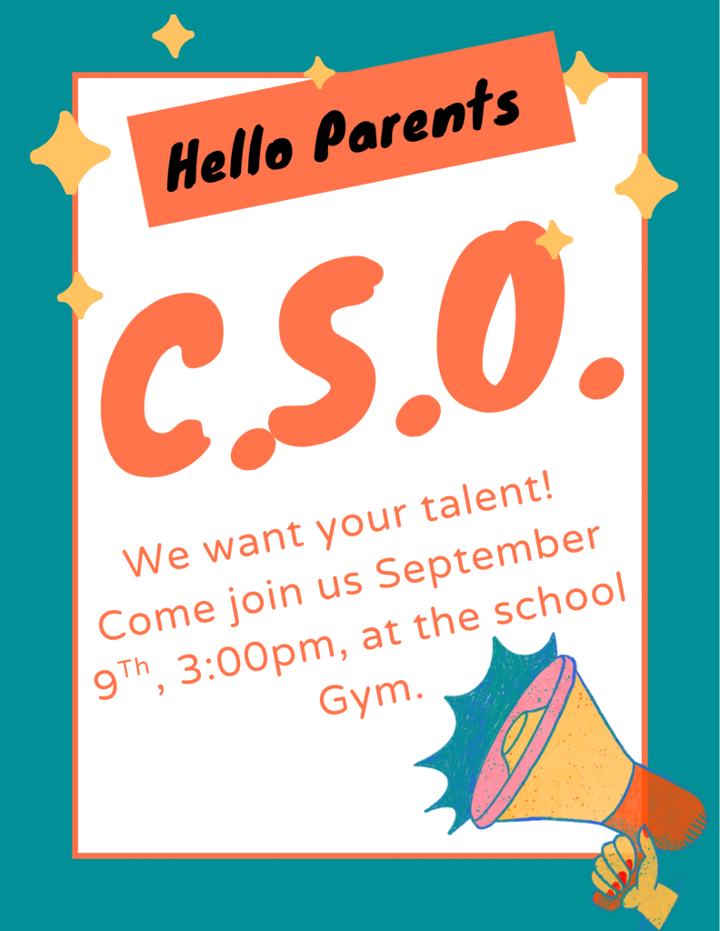 CSO